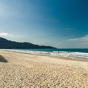 res-ilha-do-arvoredo.santa-catarina-brasil.com/